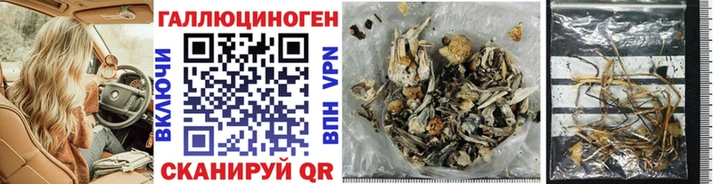 Галлюциногенные грибы GOLDEN TEACHER  Купить где  Сатка 
